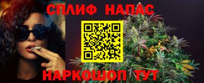 ECSTASY Будённовск