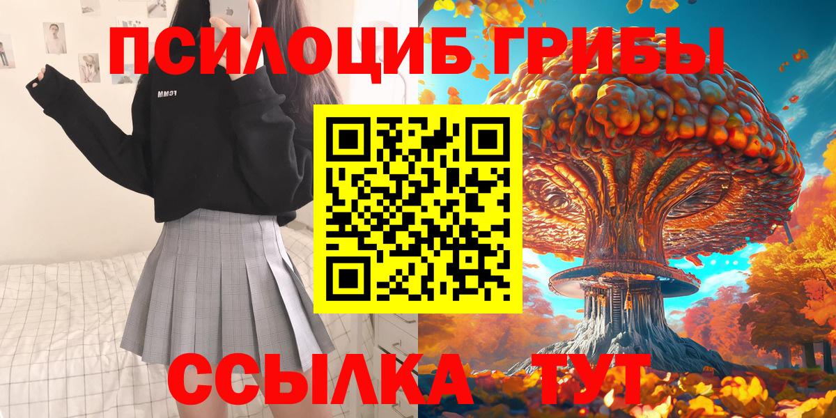 купить закладку  Вход с VPN  Галлюциногенные грибы Magic Shrooms  Георгиевск  Галлюциногенные грибы Psilocybe 